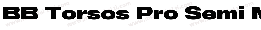 BB Torsos Pro Semi M字体转换